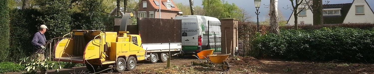 Tuinonderhoud in februari