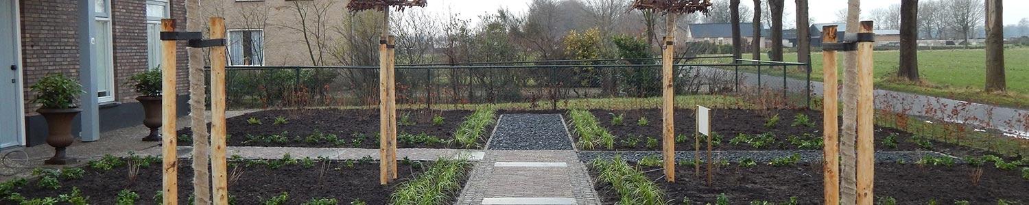 Verzorgen beplanting in februari