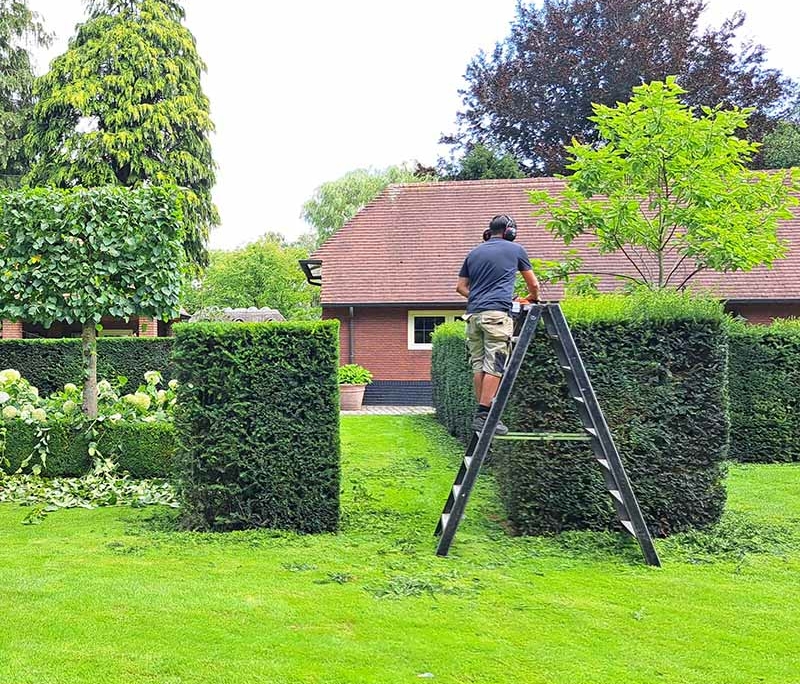 leidinggevende tuinonderhoud